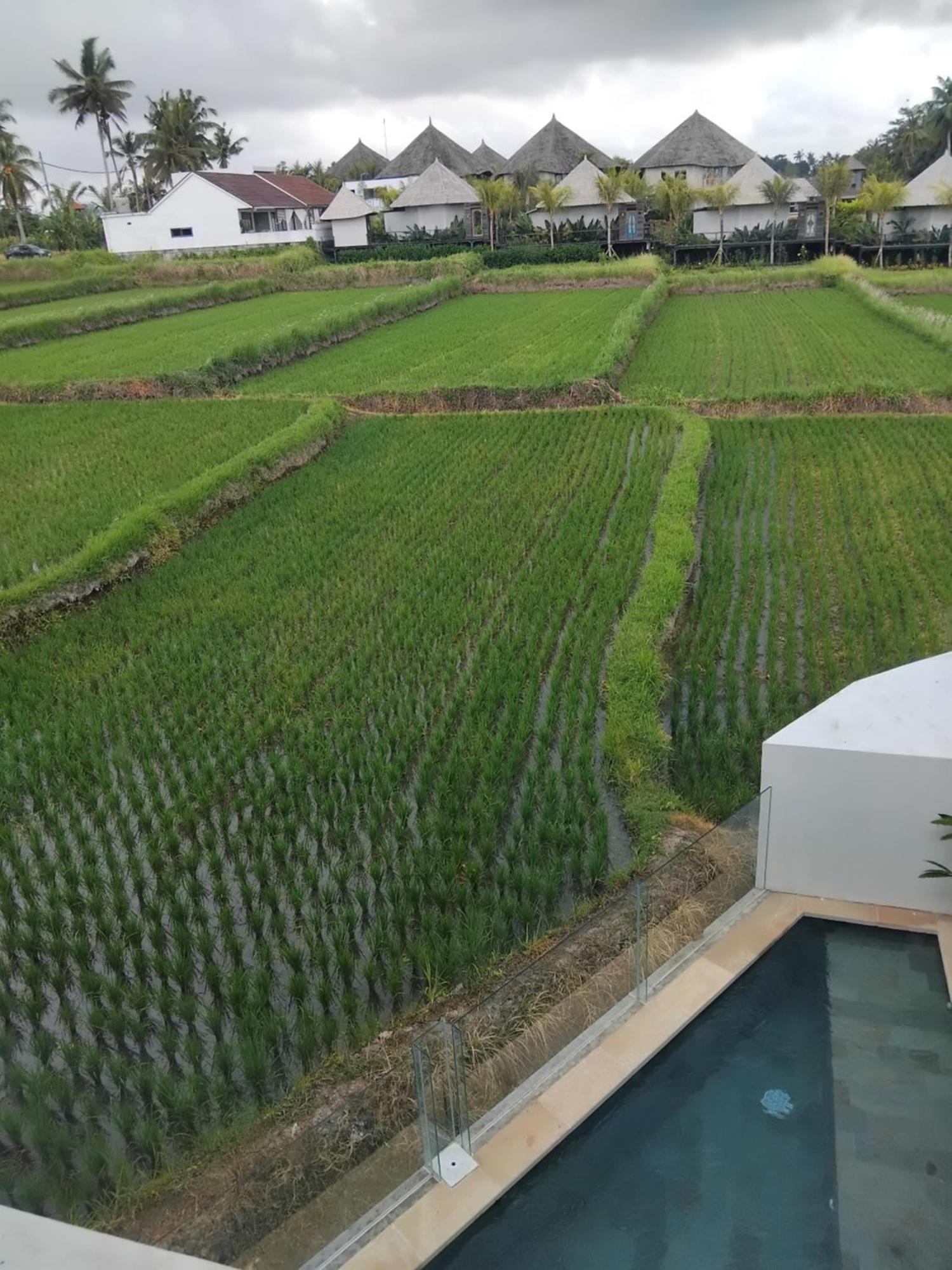 Sujiwa Ubud Hotel & Villa Exterior foto